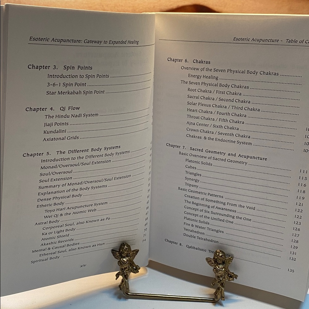 🍇Esoteric Acupuncture Gateway to Expanded Healing Volume 1 by Miko Sankey Ph.D - Picture 4 of 5